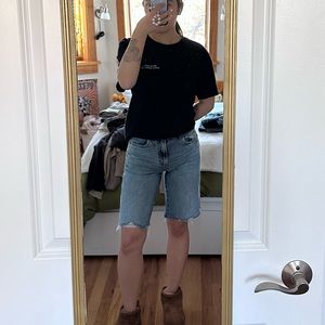pacsun baggy jean shorts